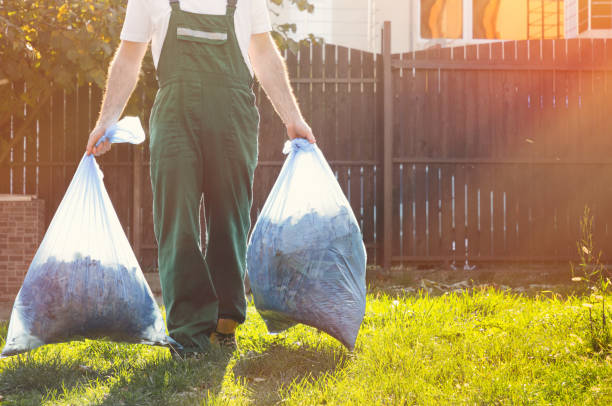 Best Yard Cleanup Services  in West Swanzey, NH